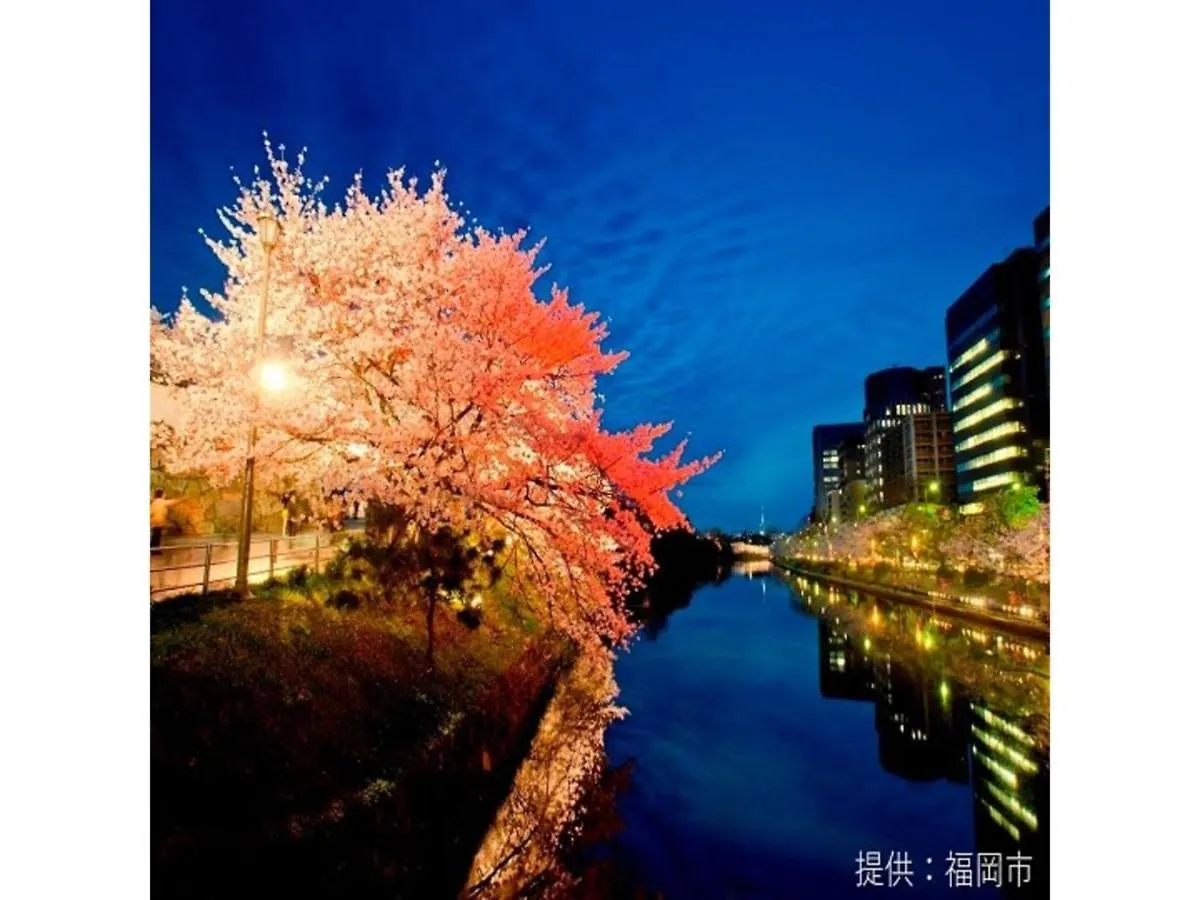Court Hotel Fukuoka Tenjin - Vacation Stay 42328V